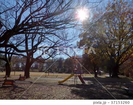 夕方の公園 夕方の公園 37153260
