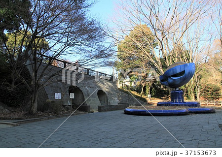 東京都町田市　芹が谷公園 37153673