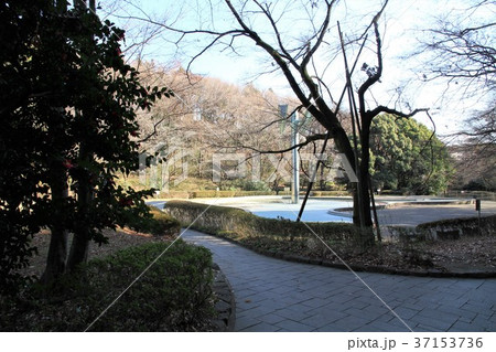 東京都町田市 芹が谷公園 東京都町田市 芹が谷公園 37153736
