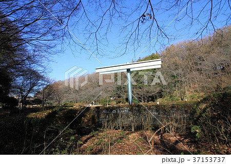東京都町田市 芹が谷公園 東京都町田市 芹が谷公園 37153737