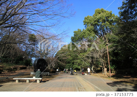 東京都町田市 芹が谷公園 東京都町田市 芹が谷公園 37153775