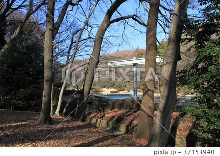 東京都町田市 芹が谷公園 東京都町田市 芹が谷公園 37153940