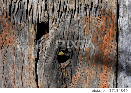 古い板塀のアップ 古い板塀のアップ 37154340