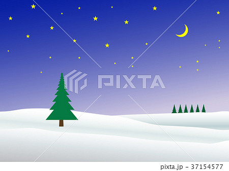 美瑛町の丘　クリスマスツリーの木 37154577