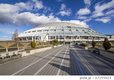 名古屋ドーム 名古屋ドーム 37155023