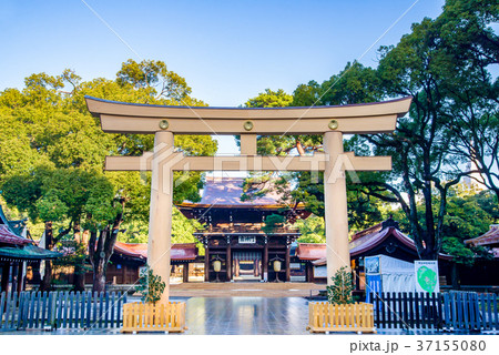 明治神宮 三の鳥居の写真素材