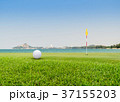 Golf ball , as hole  flag on green  37155203