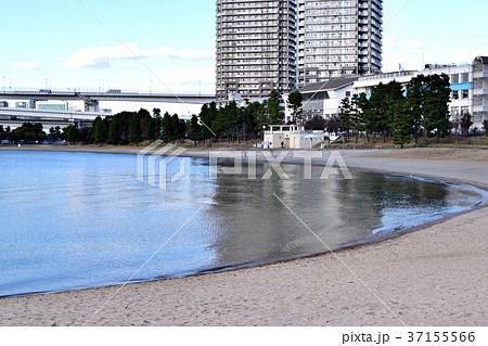 お台場海浜公園 穏やかな入り江 お台場海浜公園 穏やかな入り江 37155566