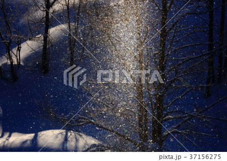 輝くサンプラー 輝くサンプラー 37156275