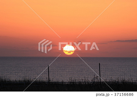 北海道　根室市　日の出 37156686
