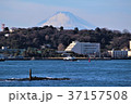 猿島から見た富士山 37157508
