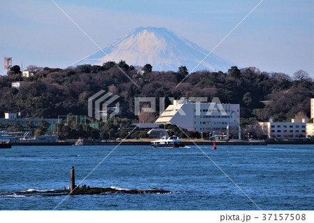 猿島から見た富士山 37157508