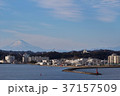 猿島から見た富士山 37157509