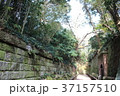 無人島　猿島 37157510