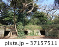 無人島　猿島 37157511