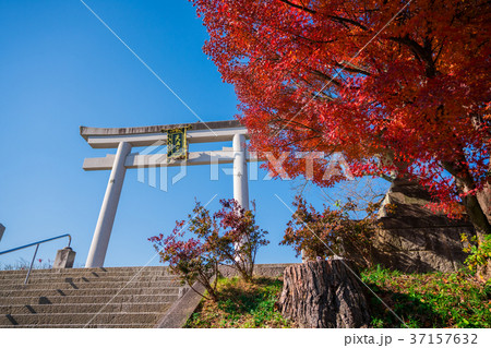 長岡天満宮の紅葉の写真素材