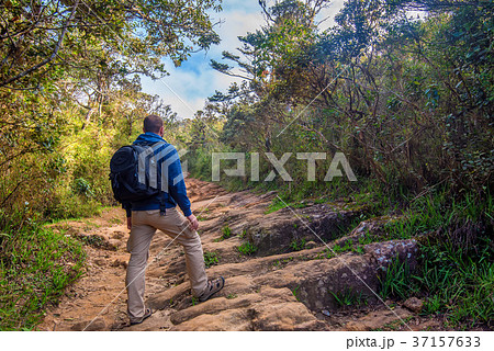 Man walks in Horton Plains 37157633