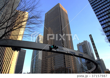 新宿警察署交差点 37157987