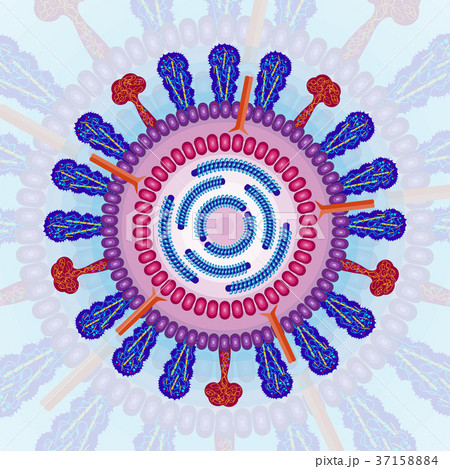 Colourful Parvovirus b19 particle structure 37158884