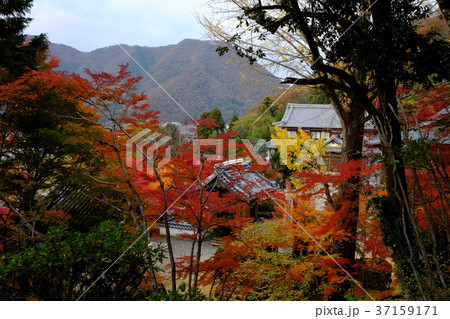 紅葉の山寺 紅葉の山寺 37159171