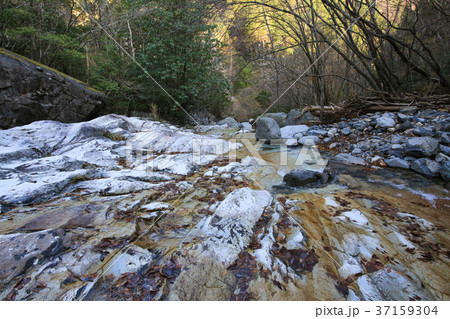 愛媛県久万高原町　面河渓　赤石河原 37159304