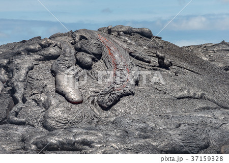 lava in lava field Hawaii volcanoes National Park 37159328