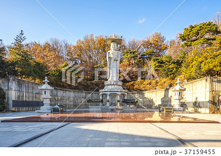 The Big Buddha in Bongeunsa Temple, Seoul, Korea 37159455