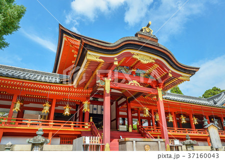 石清水八幡宮 上院社殿 石清水八幡宮 上院社殿 37160043
