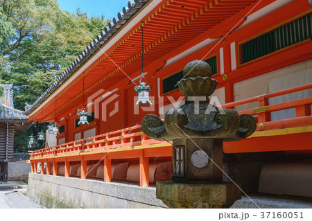 石清水八幡宮 上院社殿 石清水八幡宮 上院社殿 37160051