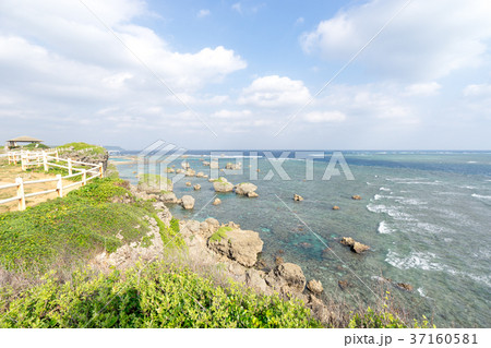 宮古島・東平安名崎の風景 37160581