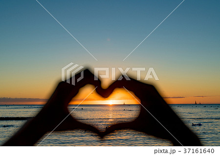 ハート ハート 37161640