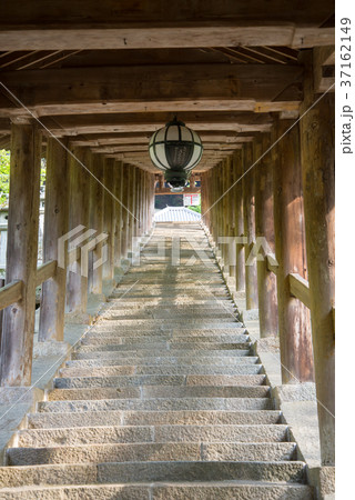長谷寺 長谷寺 37162149