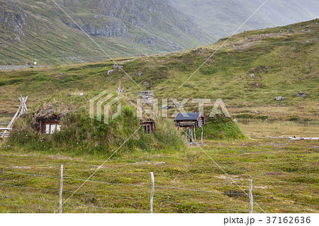 Norwegian typical grass roof country house 37162636