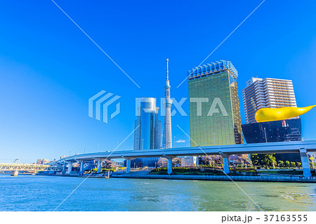 東京 浅草 隅田川とスカイツリー 東京 浅草 隅田川とスカイツリー 37163555