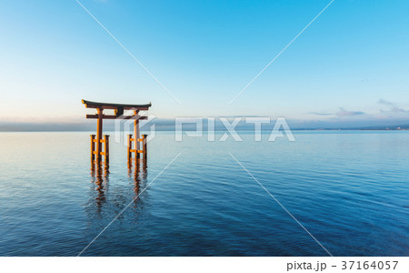 湖中大鳥居 37164057