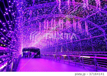 小倉イルミネーション　鴎外橋 37164141