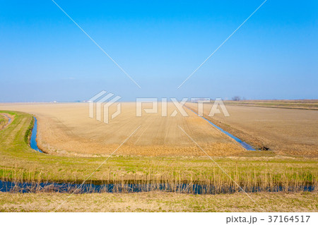 Rural Italian landscape from Po river lagoon. Rural Italian landscape from Po river lagoon. 37164517