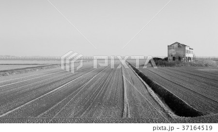 Rural Italian landscape from Po river lagoon. 37164519