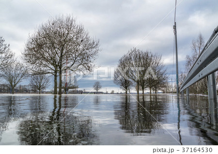 The river Rhine is flooding the city of Duisburg 37164530