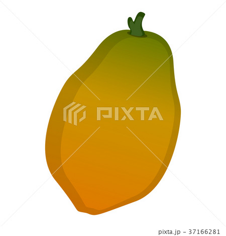 Isolated papaya illustration Isolated papaya illustration 37166281