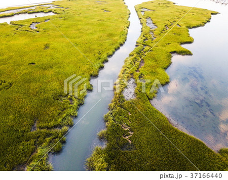 Aerial view of a swamp at sunrise 37166440
