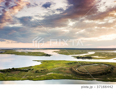 Aerial view of a swamp at sunrise 37166442