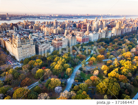 New York panorama from Central park, aerial view 37166447