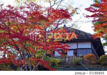 秋の松島、観瀾亭 37166803