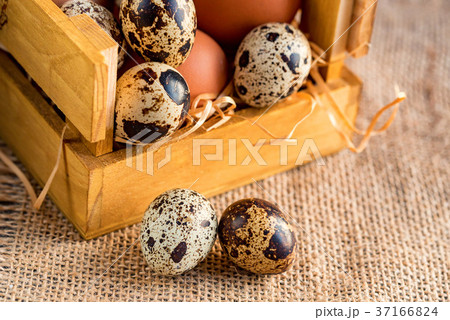 Fresh farm brown eggs on rustic background Fresh farm brown eggs on rustic background 37166824