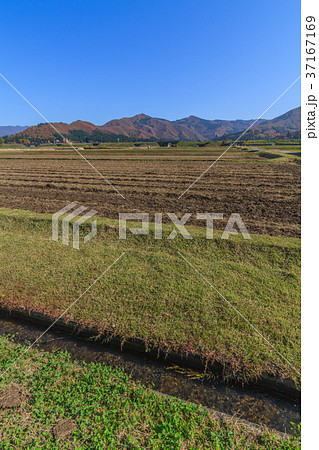 秋の六日町の田園風景 秋の六日町の田園風景 37167169