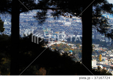 【国史跡・続日本100名城】石垣山一夜城から見る木々越しの小田原城（秀吉 小田原征伐前イメージ）  37167724