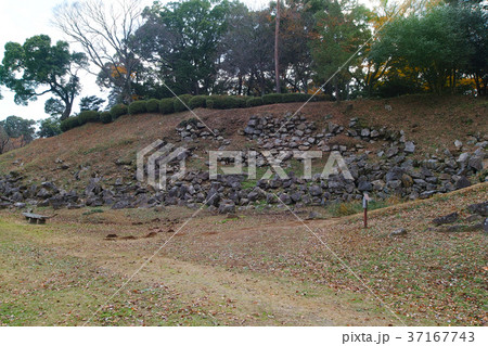 【国史跡・続日本100名城】石垣山一夜城 二ノ丸 37167743