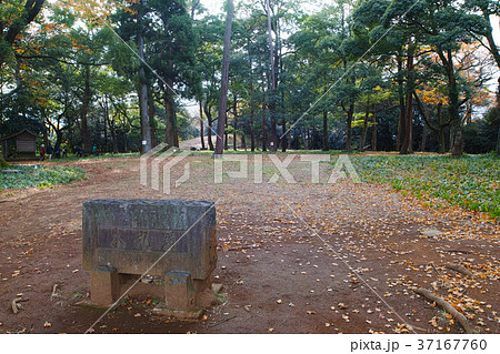 【国史跡・続日本100名城】石垣山一夜城 本丸跡 【国史跡・続日本100名城】石垣山一夜城 本丸跡 37167760