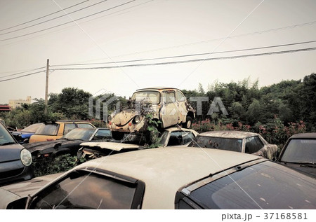 レトロな車 錆びた車 廃車 スクラップ駐車場 田舎の風景の写真素材